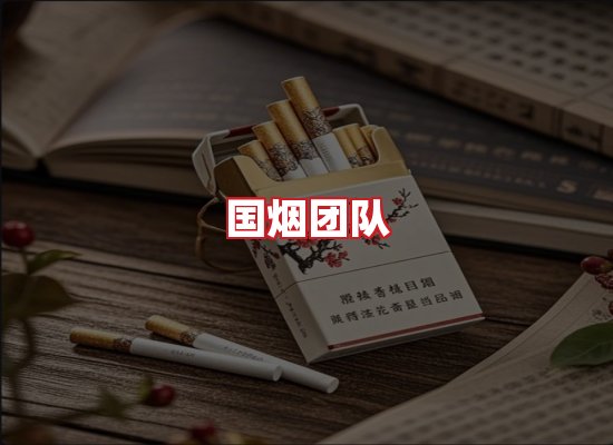 国烟团队